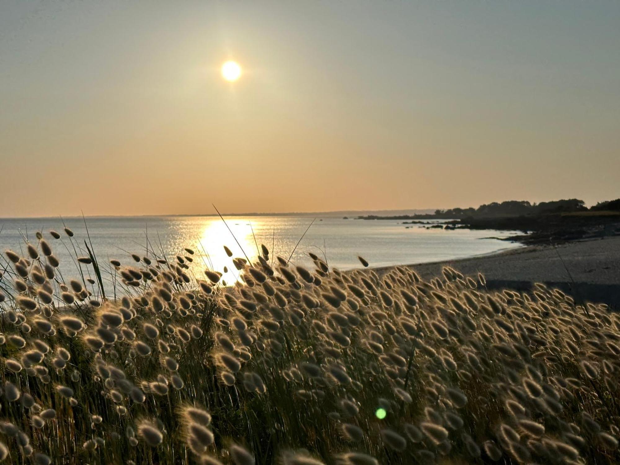 Les Suites De Bougainville Concarneau Exterior photo